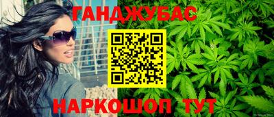 гашик Кулебаки