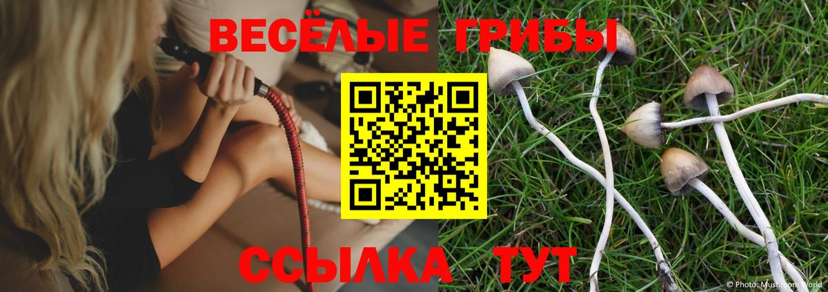 Псилоцибиновые грибы мицелий  Вход с VPN  Воронеж 